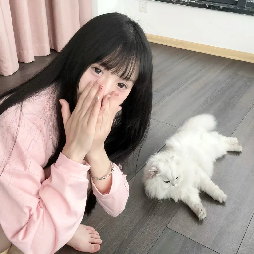 盗走林布兰