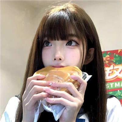 没人瞭波斯猫